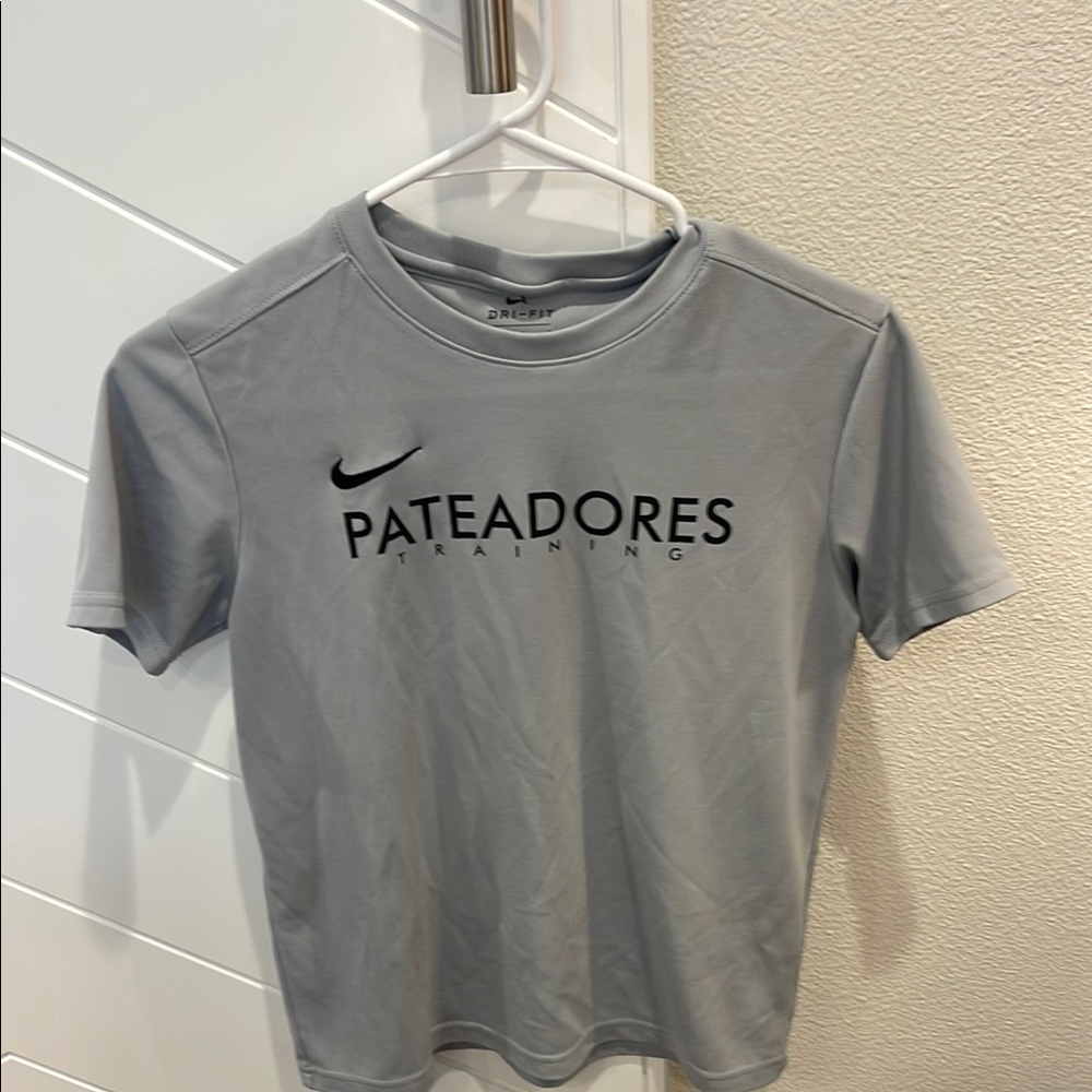 Nike Pateadores Gray Training Tee